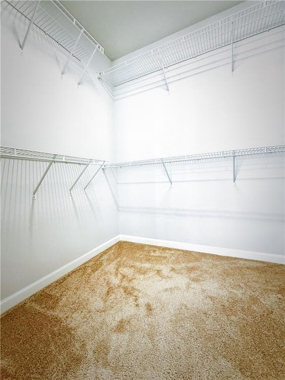 Building Photo - 3083 Cedar Glade Ln NE