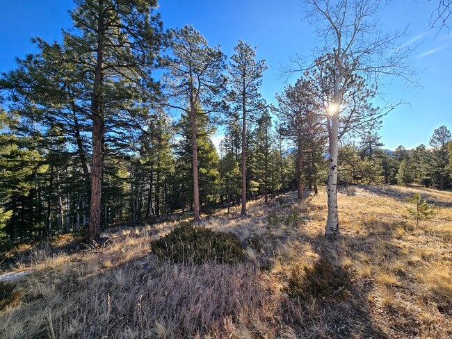 Building Photo - 6911 US-24