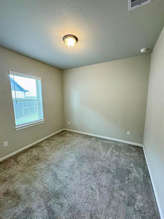 Building Photo - 29406 Amber Pne Ct