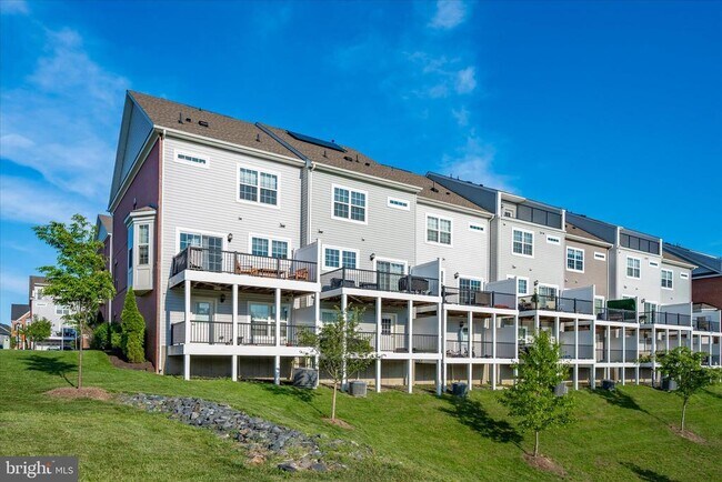 Building Photo - 7963 Potter Pl