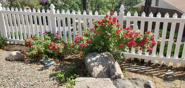 Building Photo - 2057 Heavenly Pl