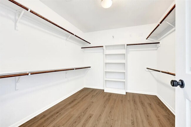 Building Photo - 3214 Tall Sycamore Trail