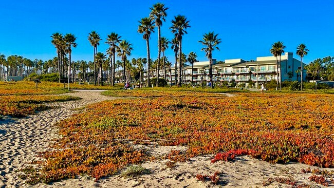 The condo complex faces the ocean. - 532 Ebbtide Cir