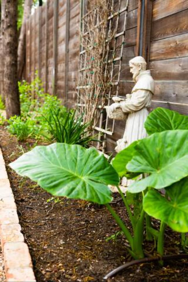 Building Photo - 2703 S 2nd St