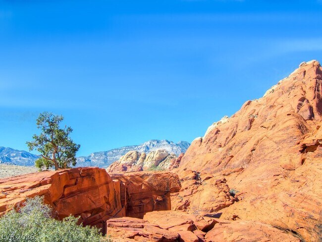 Building Photo - 1041 Baronet Dr