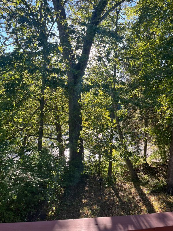 Building Photo - 67 Brentwood Dr