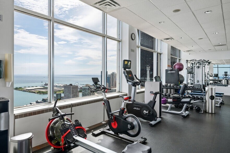 Building Photo - 1000 N Lake Shore Dr