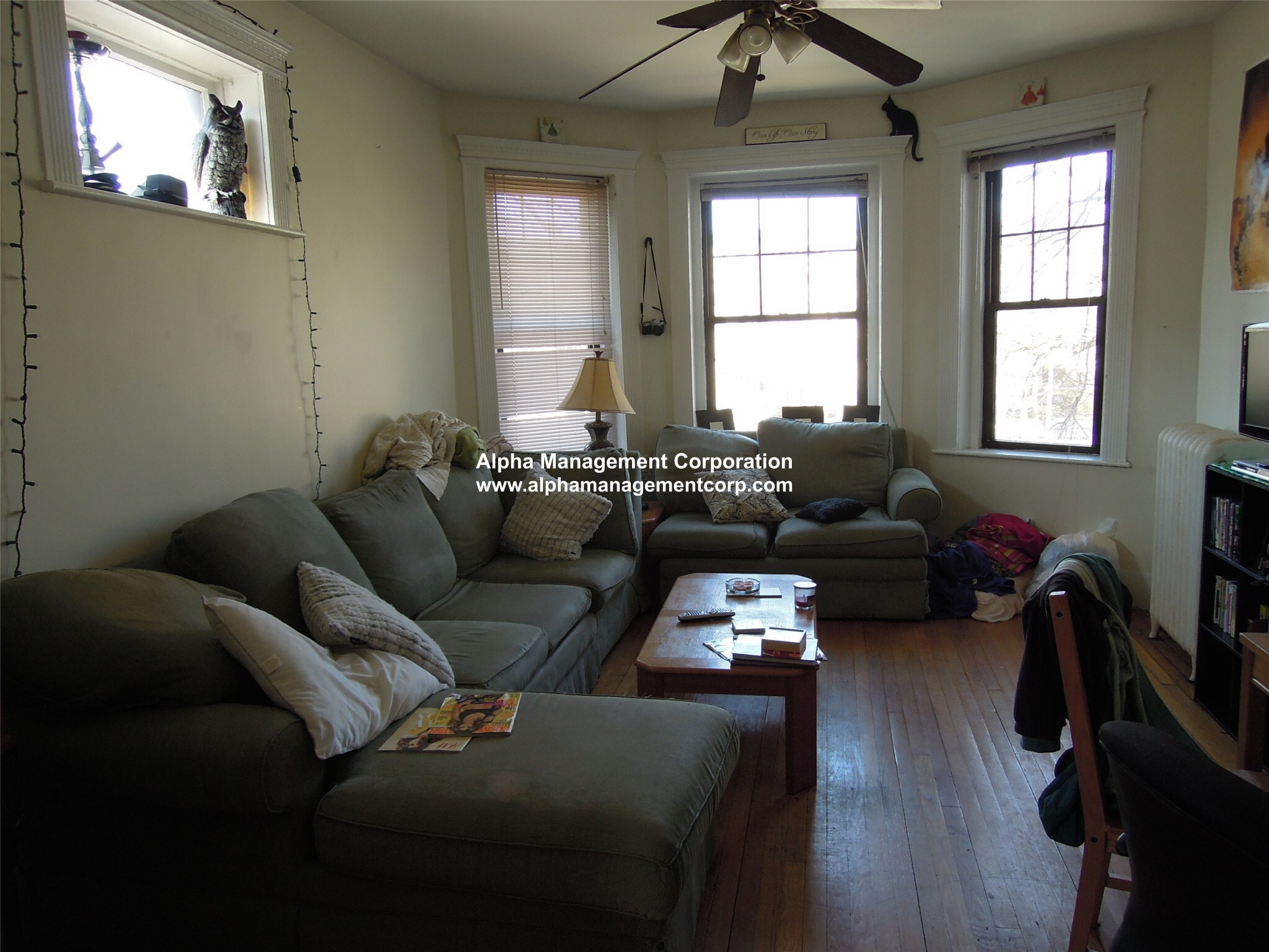 Building Photo - 1412 Commonwealth Ave