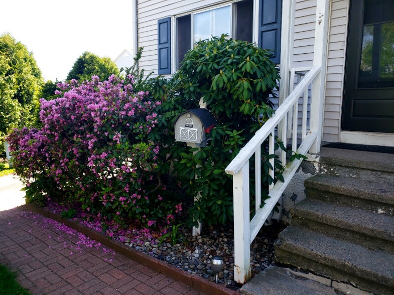 Building Photo - 71 Ranger Rd