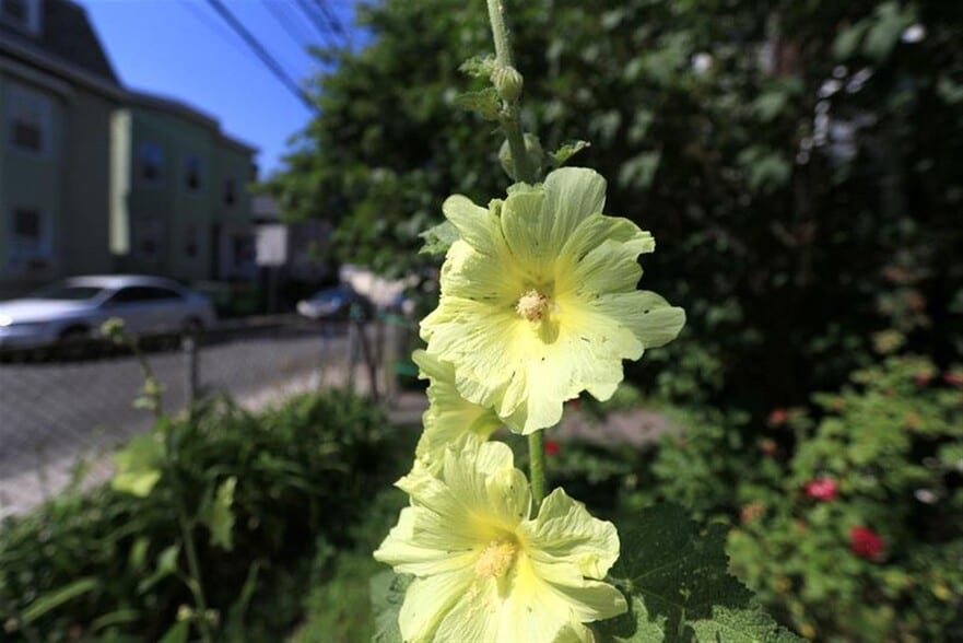 Building Photo - 128 Pine St
