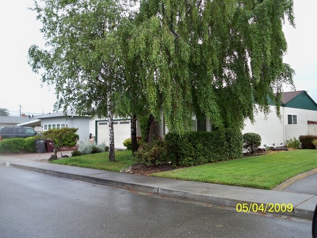 Building Photo - 1743 Via Ventana