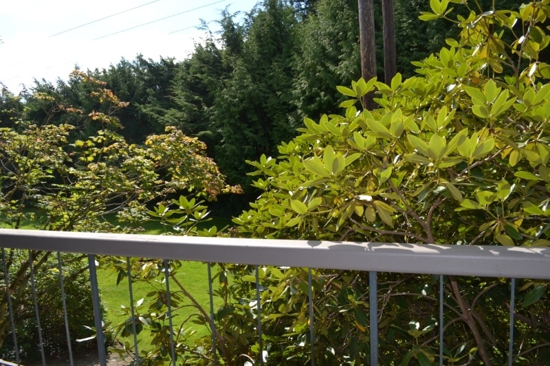 Building Photo - 6479 137th Ave NE