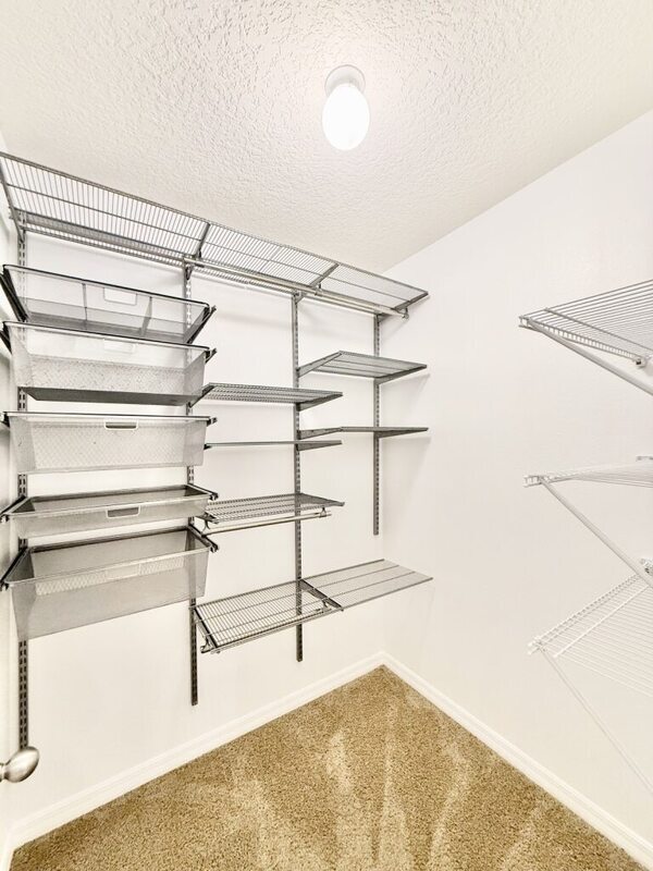 Building Photo - 5321 Loblolly Ln