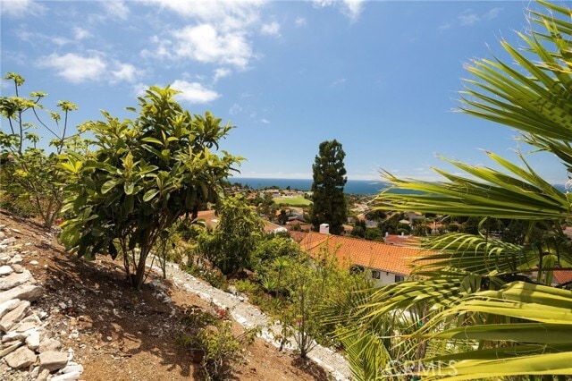 Building Photo - 1253 Vía Landeta