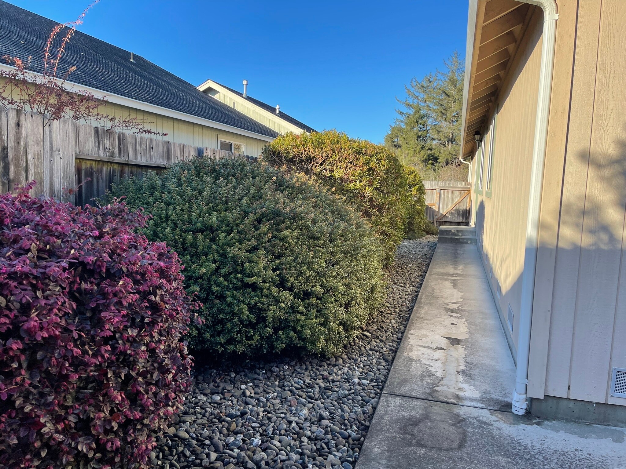 Building Photo - 1448 Honeycomb Ct