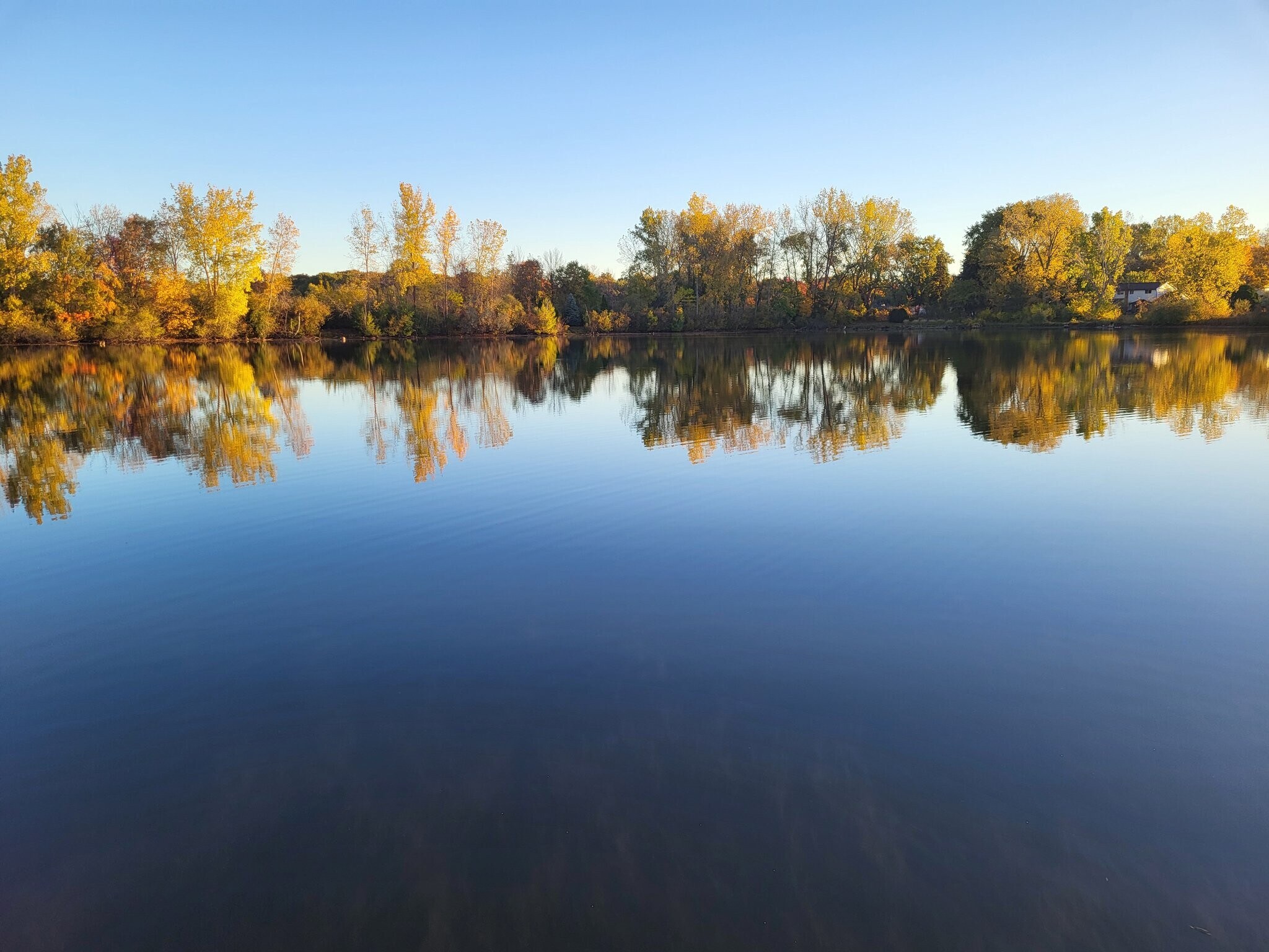 Building Photo - 11737 21 Mile Rd