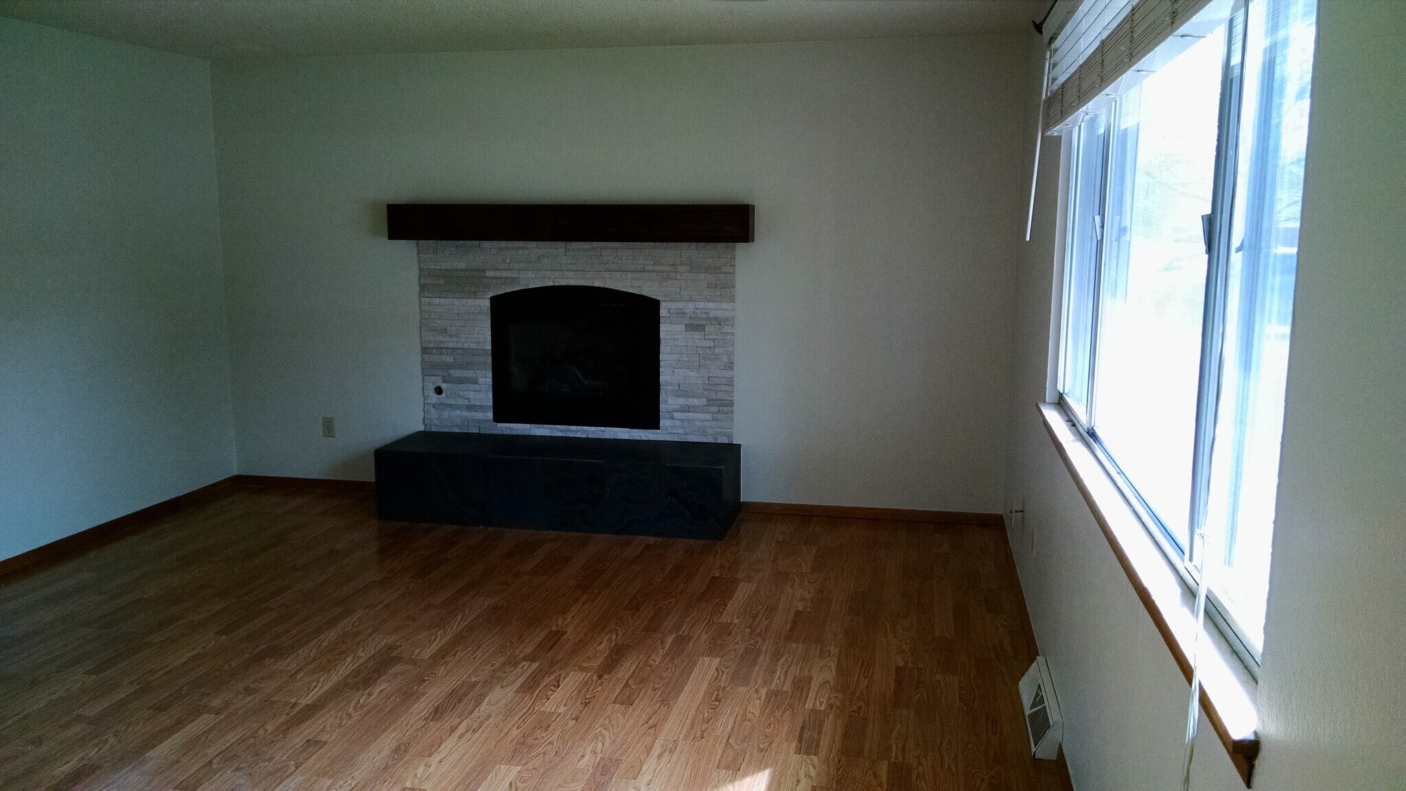 Updated gas fireplace - 1838 Gay Street