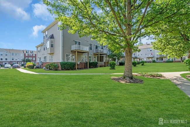 Building Photo - 2211 Timber Ridge Ct