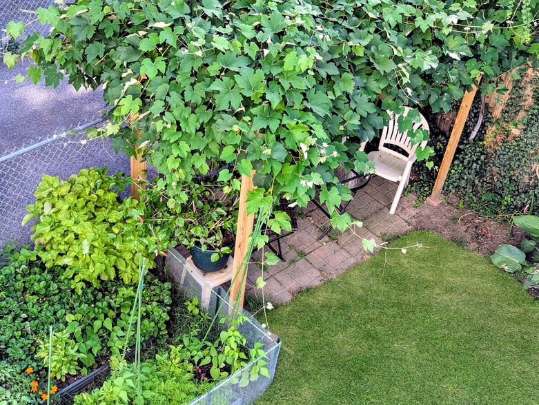 View of garden from back porch - 22 Reed St