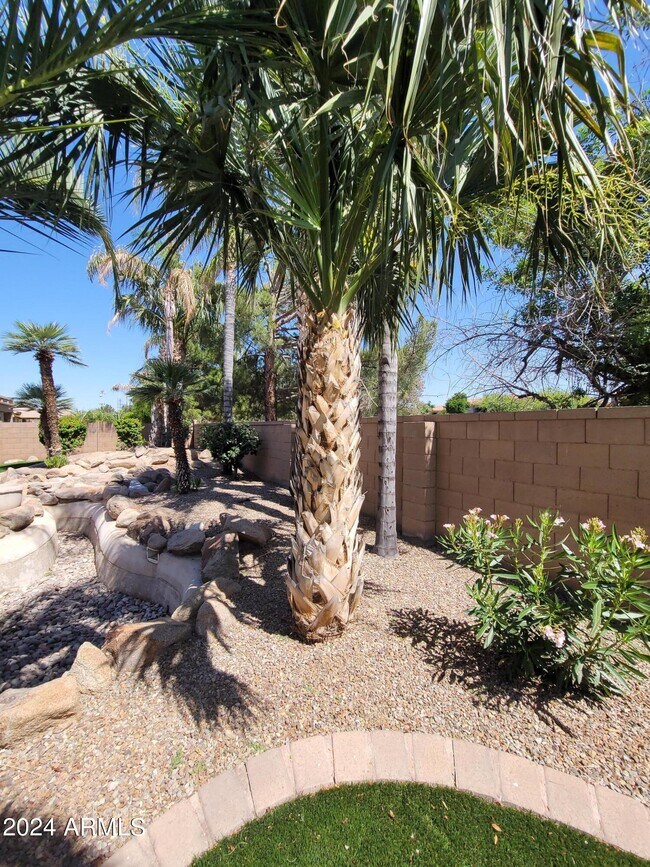 Building Photo - 2461 W Marlin Dr