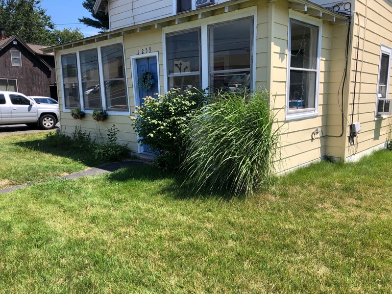 Building Photo - 1273 Queen St