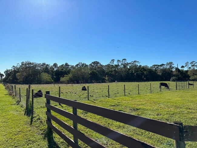 Building Photo - 4502 Wild Turkey Trail