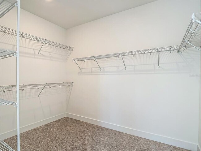 Building Photo - 410 S Westshore Blvd