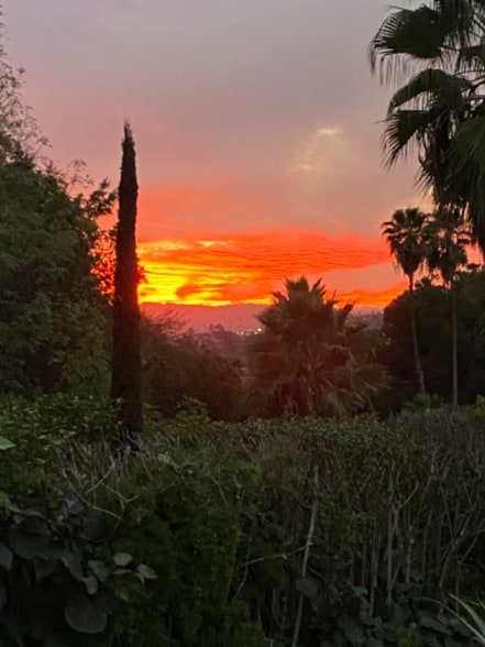 Building Photo - 1986 Sherer Ln