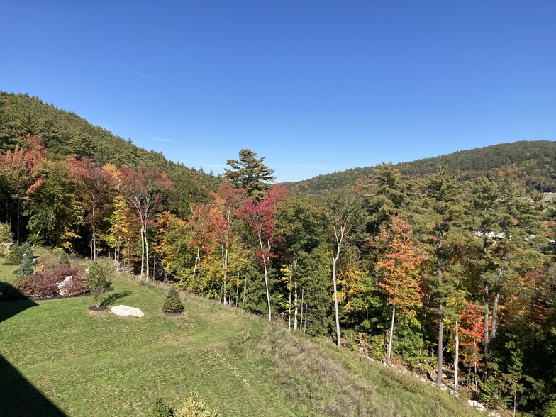 Back lawn from the roof deck - 69 Etna Rd