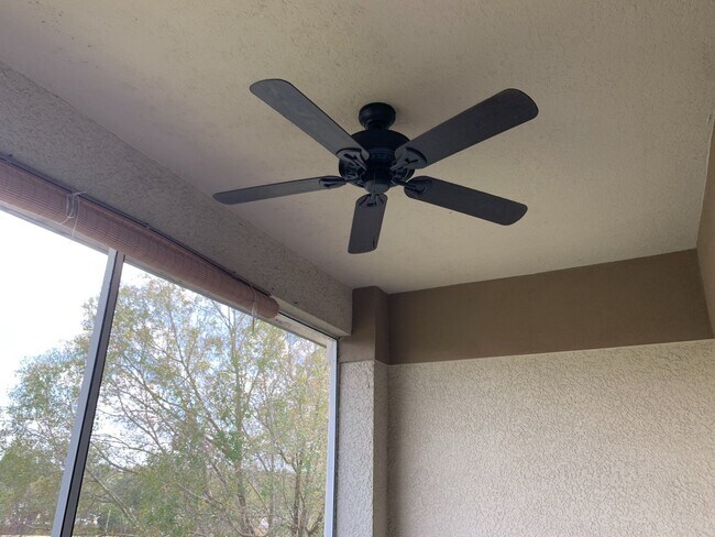 Building Photo - One Bedroom For Rent in New Tampa!