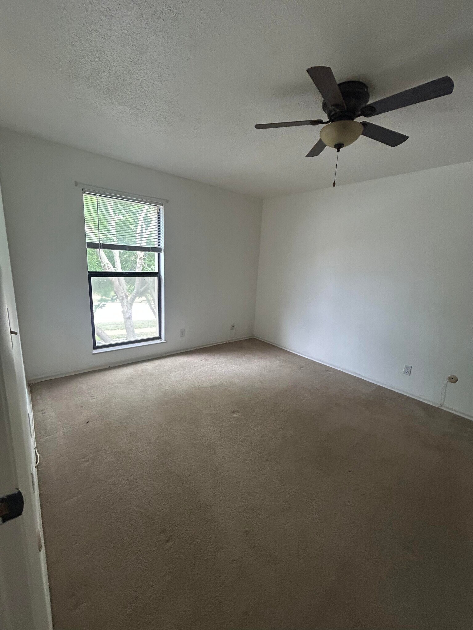 Master Bedroom - 1233 Guelbreth Ln