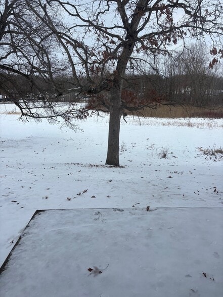 backyard - 75 Lane 265 Lake James