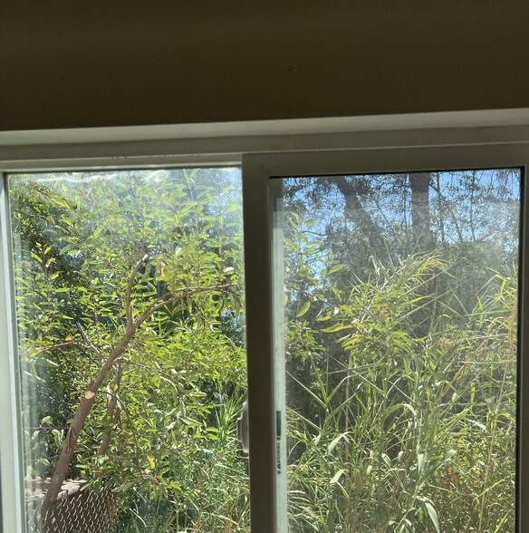 Forest view from the window. - 640 Cavanagh Rd