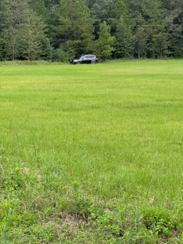 Building Photo - 2009 FL-81