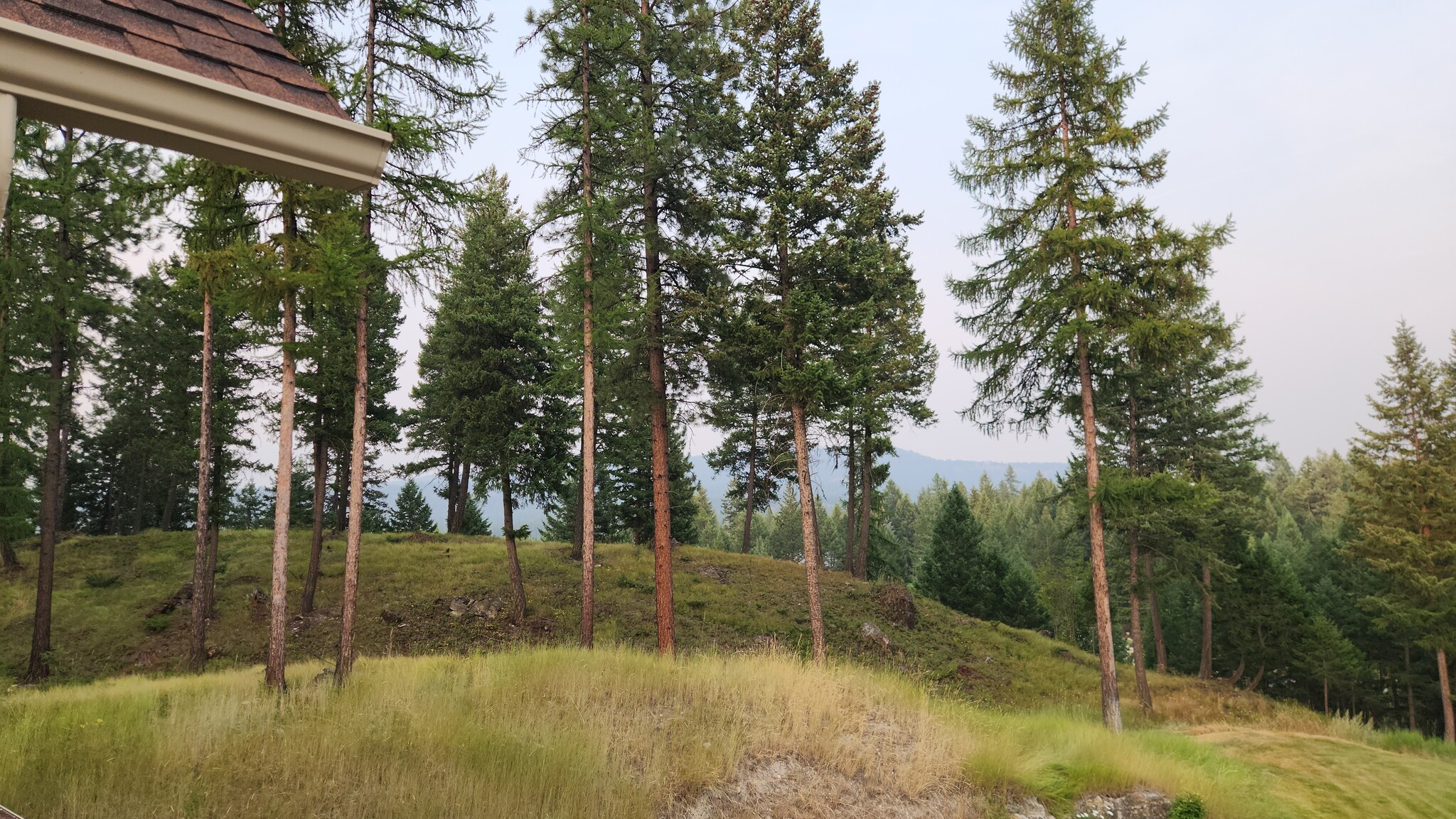 Great views - 6710 Farm To Market Rd