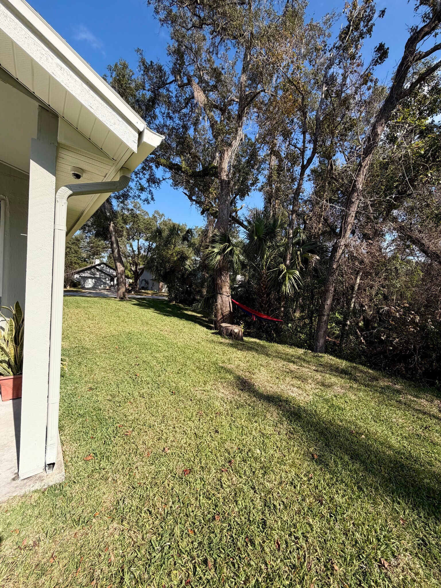 Building Photo - 147 Dalton Dr