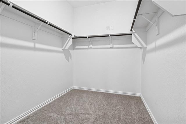 Building Photo - 422 Blanton St