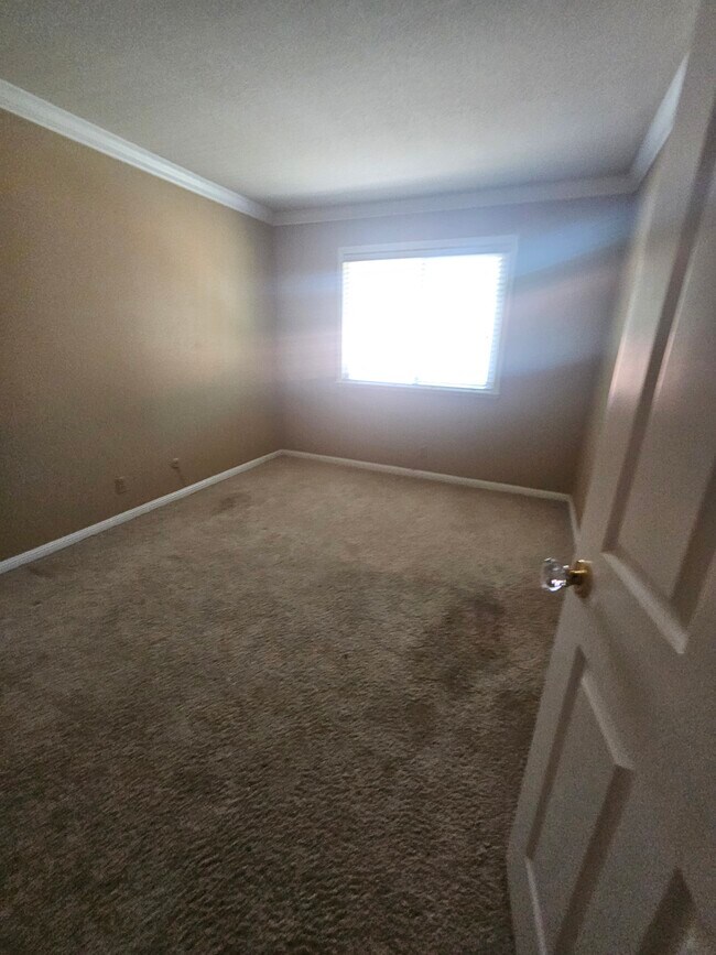 Building Photo - 45 Mainprice Ct