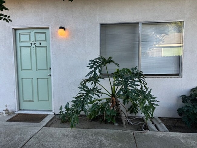 Primary Photo - Beautiful Triplex in Ripon