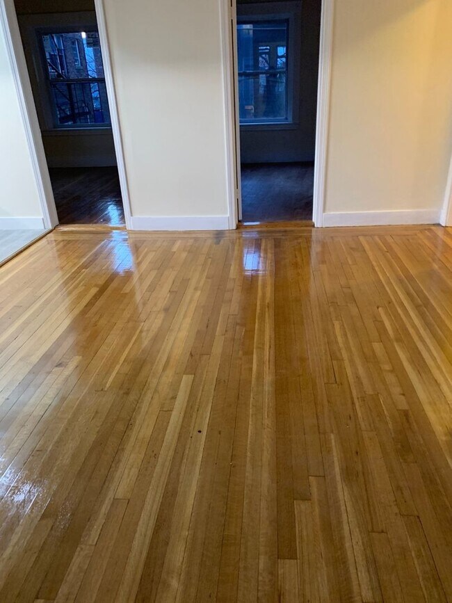 Building Photo - No Fee!  Gorgeous Comm Ave Apt by T!  Modern Appliances.  Cat & Small Dog OK