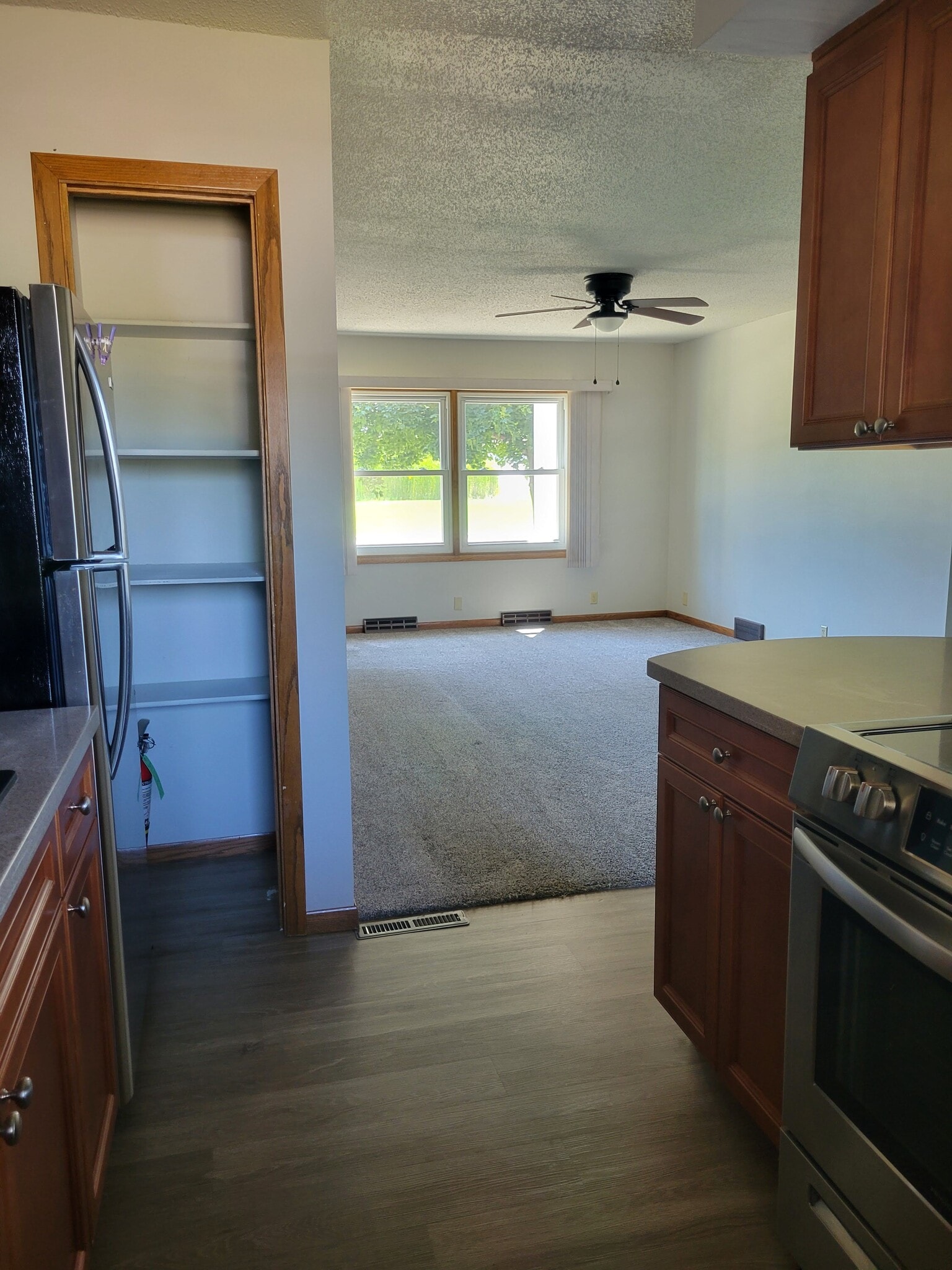 Kitchen, pantry, living room - 3014 Rownd St