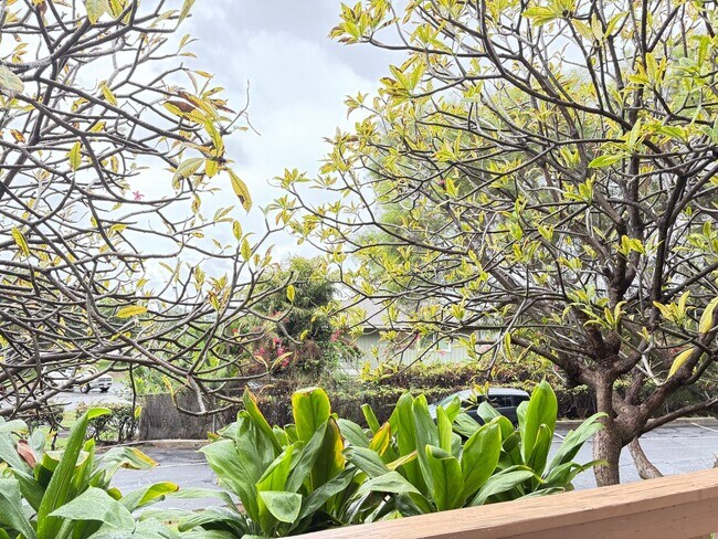 Building Photo - Two Bedroom Makaha Valley Plantation