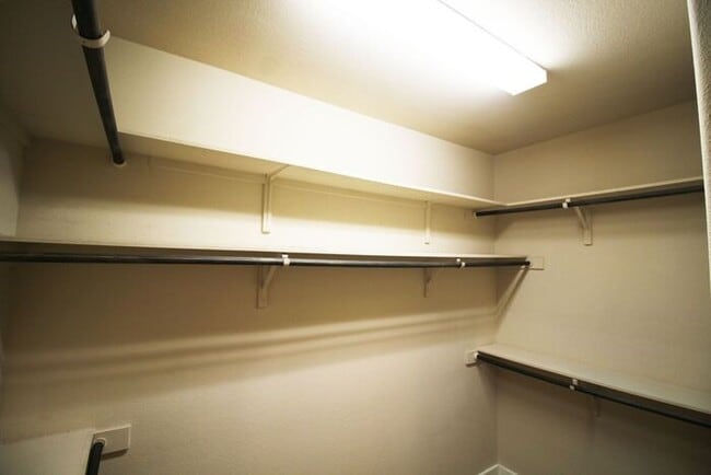 Building Photo - 523 High Tech Dr