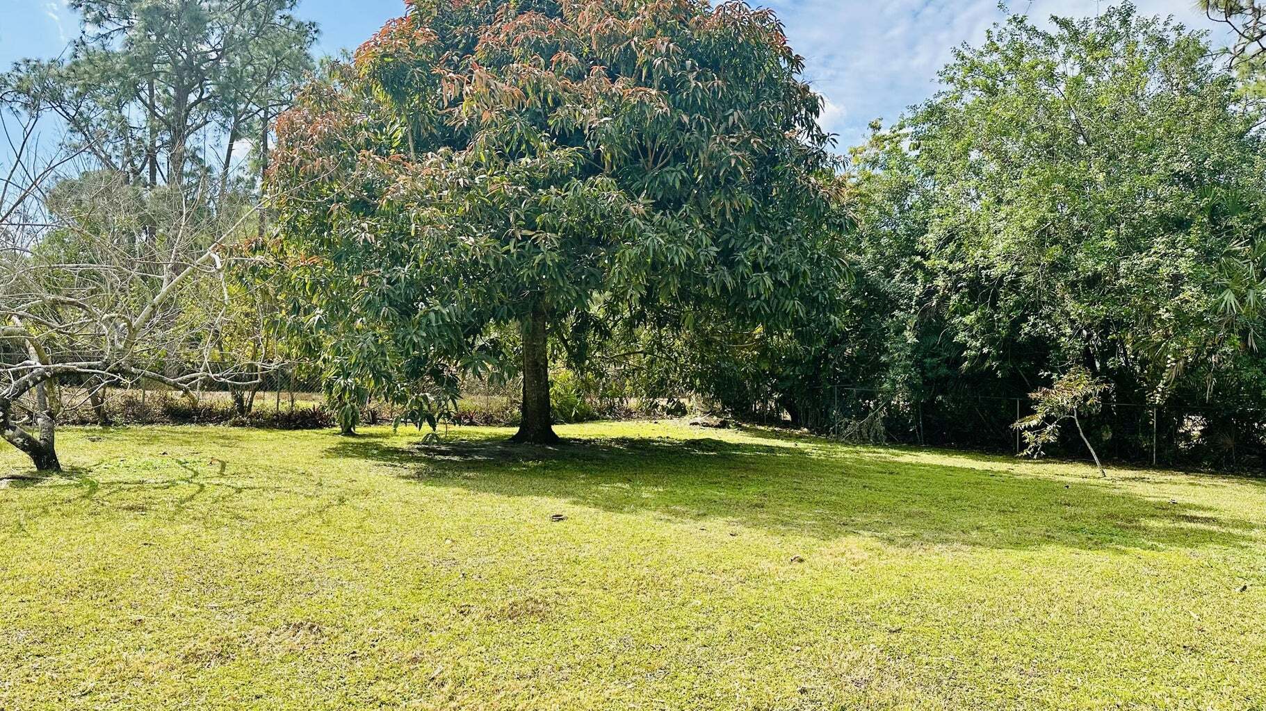 Building Photo - 11952 60th St N