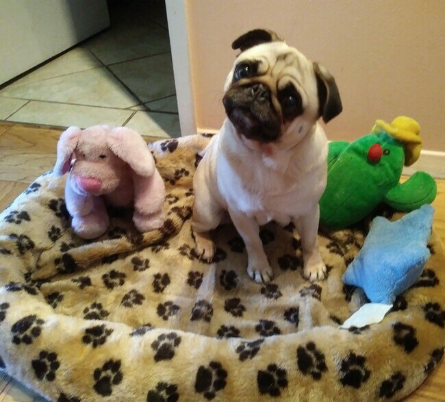 Building Photo - 7000 BLVD E