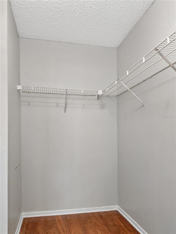 Building Photo - 2569 Grassy Point Dr