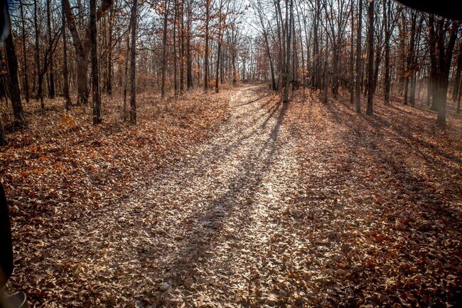 Building Photo - 4 Bedroom Hunting Lodge in Climax Springs