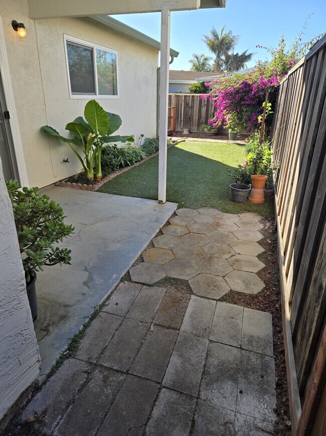 Back Yard - 613 Peartree Dr