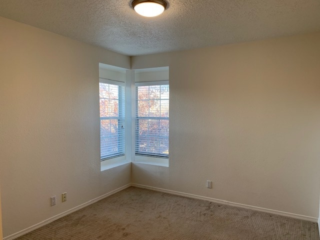 Building Photo - 8008 Argyle Ave NE