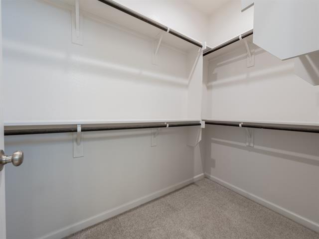 Building Photo - 9316 Paintbrush Dr